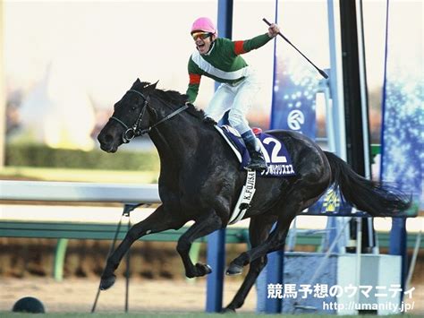 2002年 馬|Category:2002年生 (競走馬)